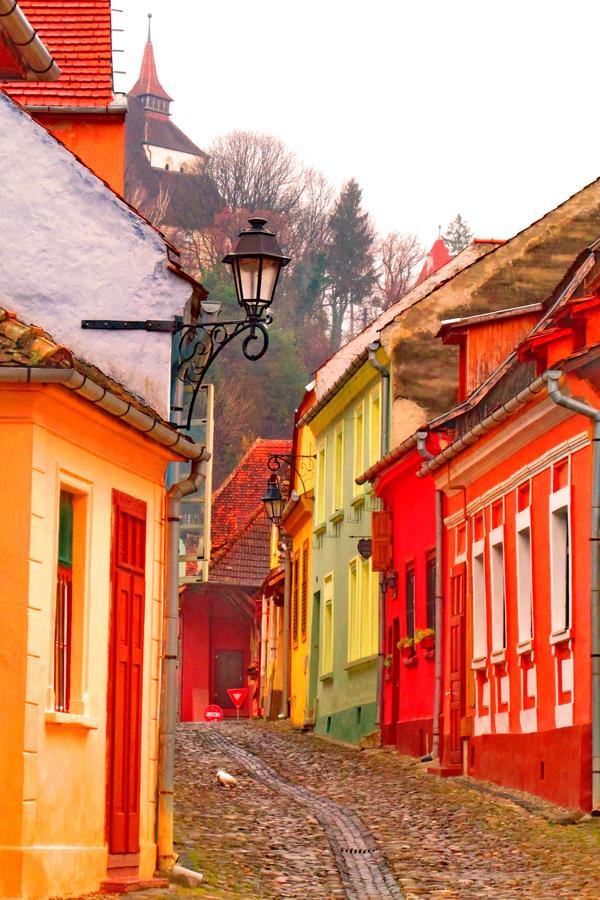Citadel Park Apartment Sighisoara Exterior photo