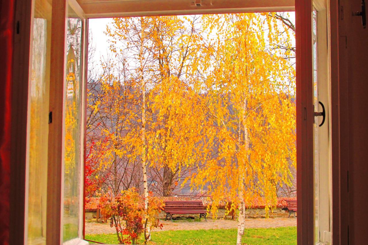 Citadel Park Apartment Sighisoara Exterior photo
